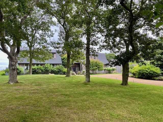 a view of swimming pool with a tree