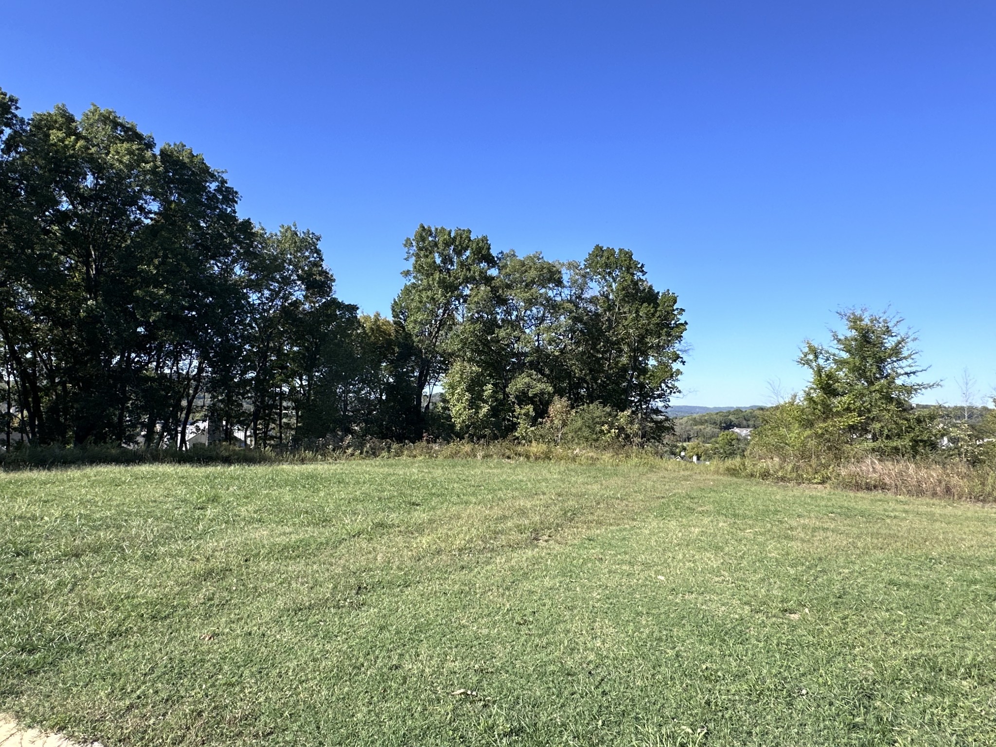 a view of grassy field with trees