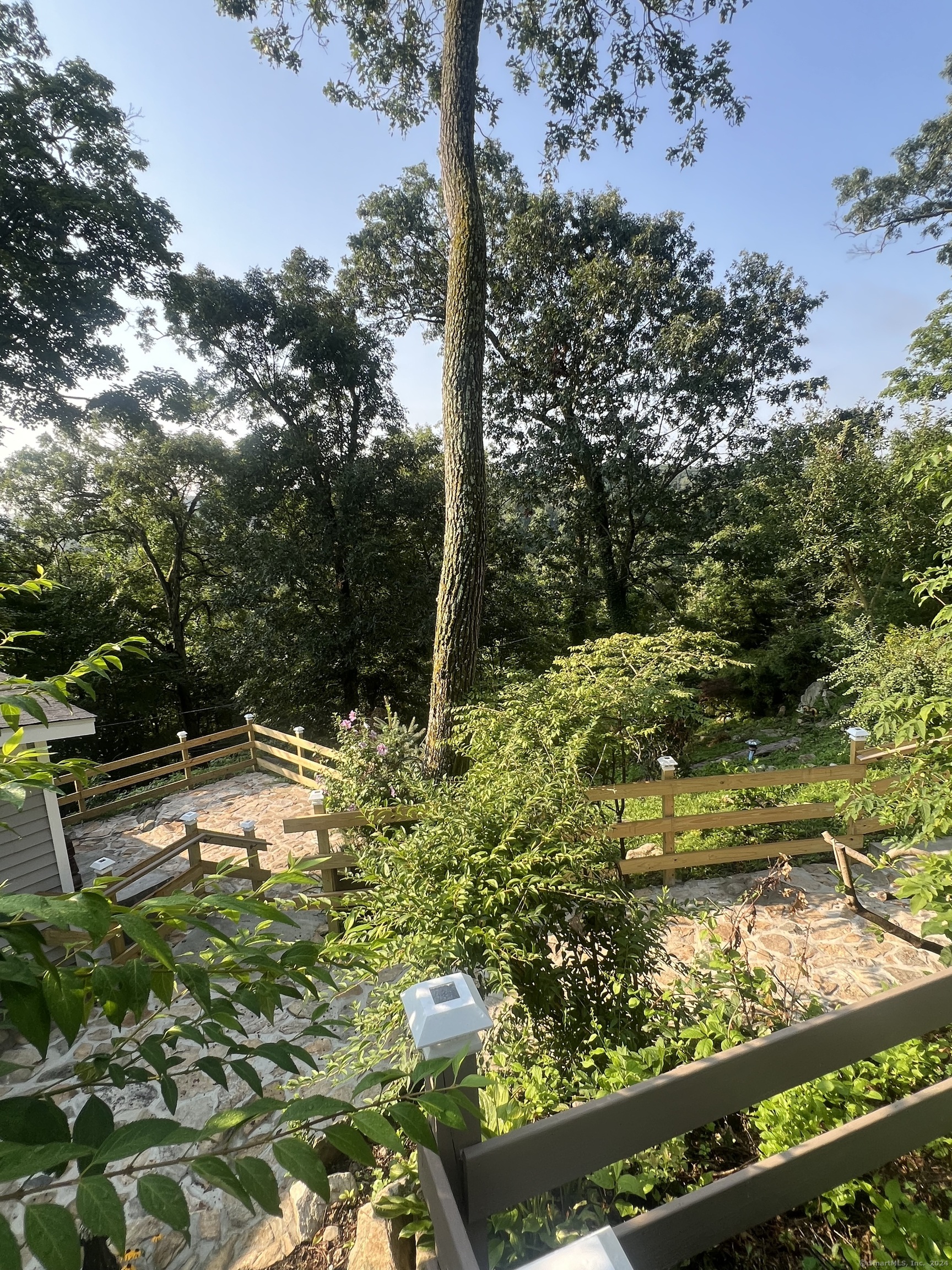 a view of a yard with plants