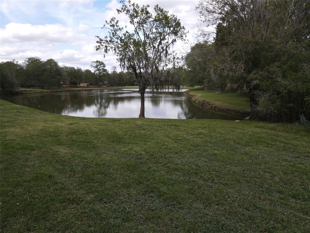 a view of a lake