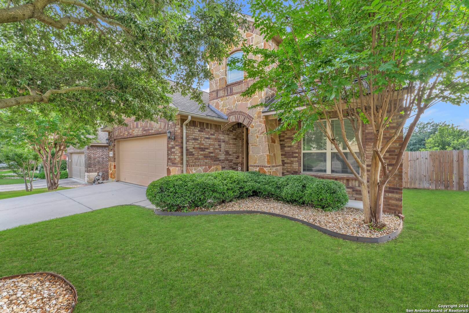 a backyard of a house with plants and large tree