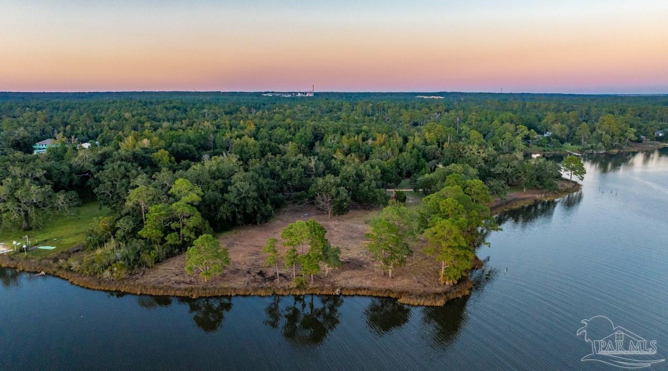 a view of a lake in a forest