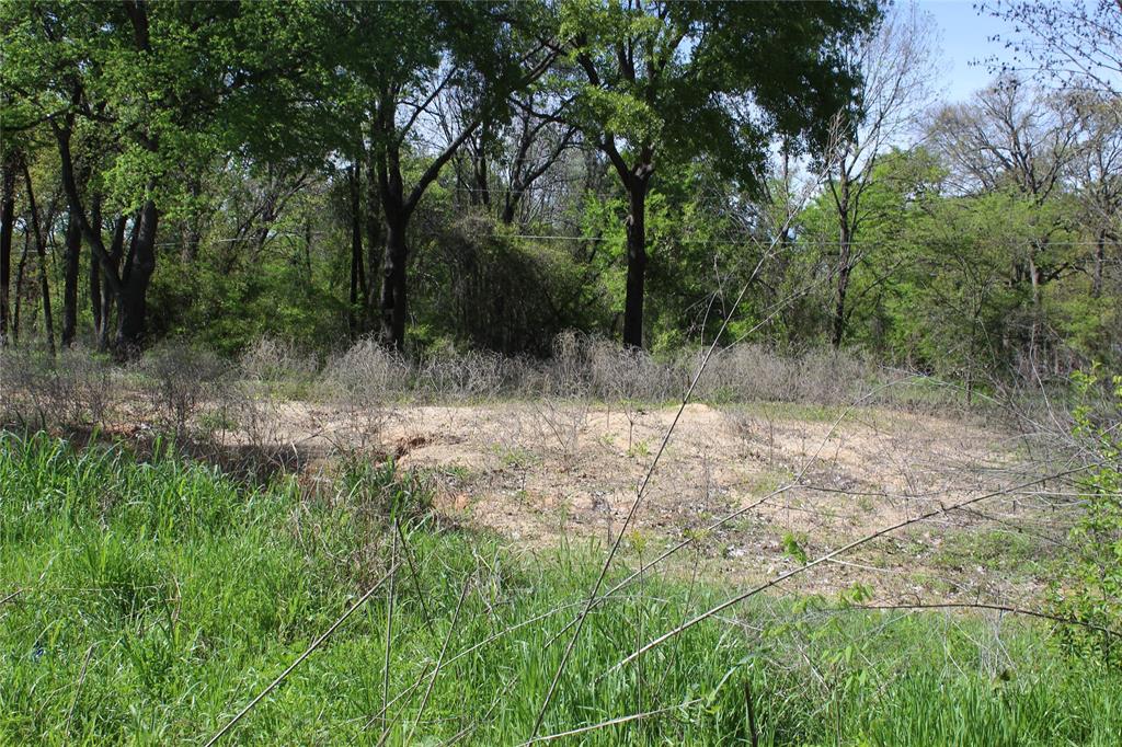 a view of backyard with green space