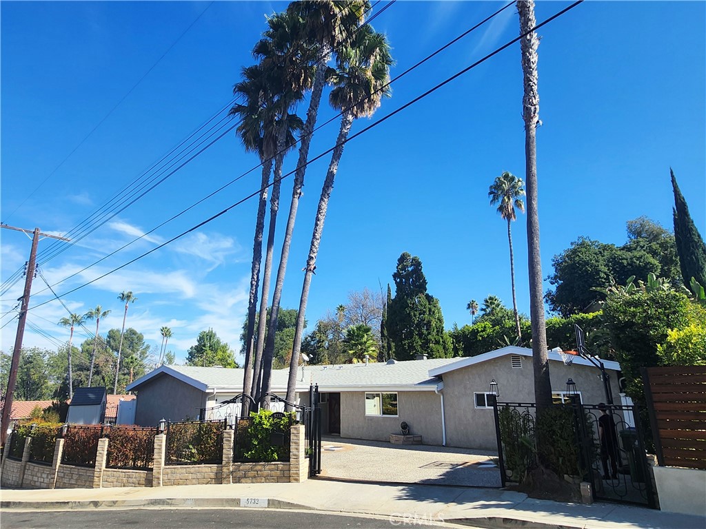 a view of a street with a tree