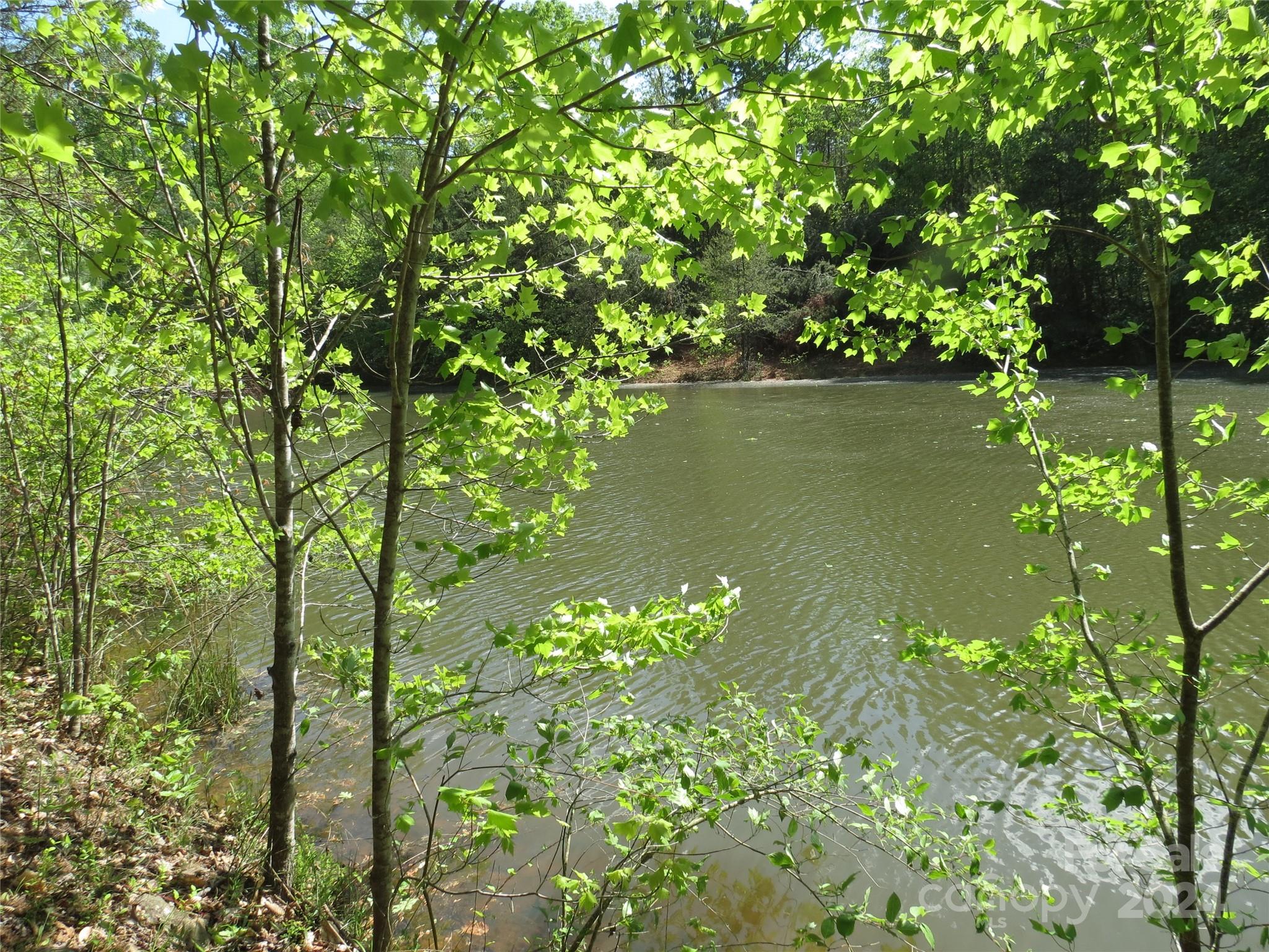 a view of a lake with a tree