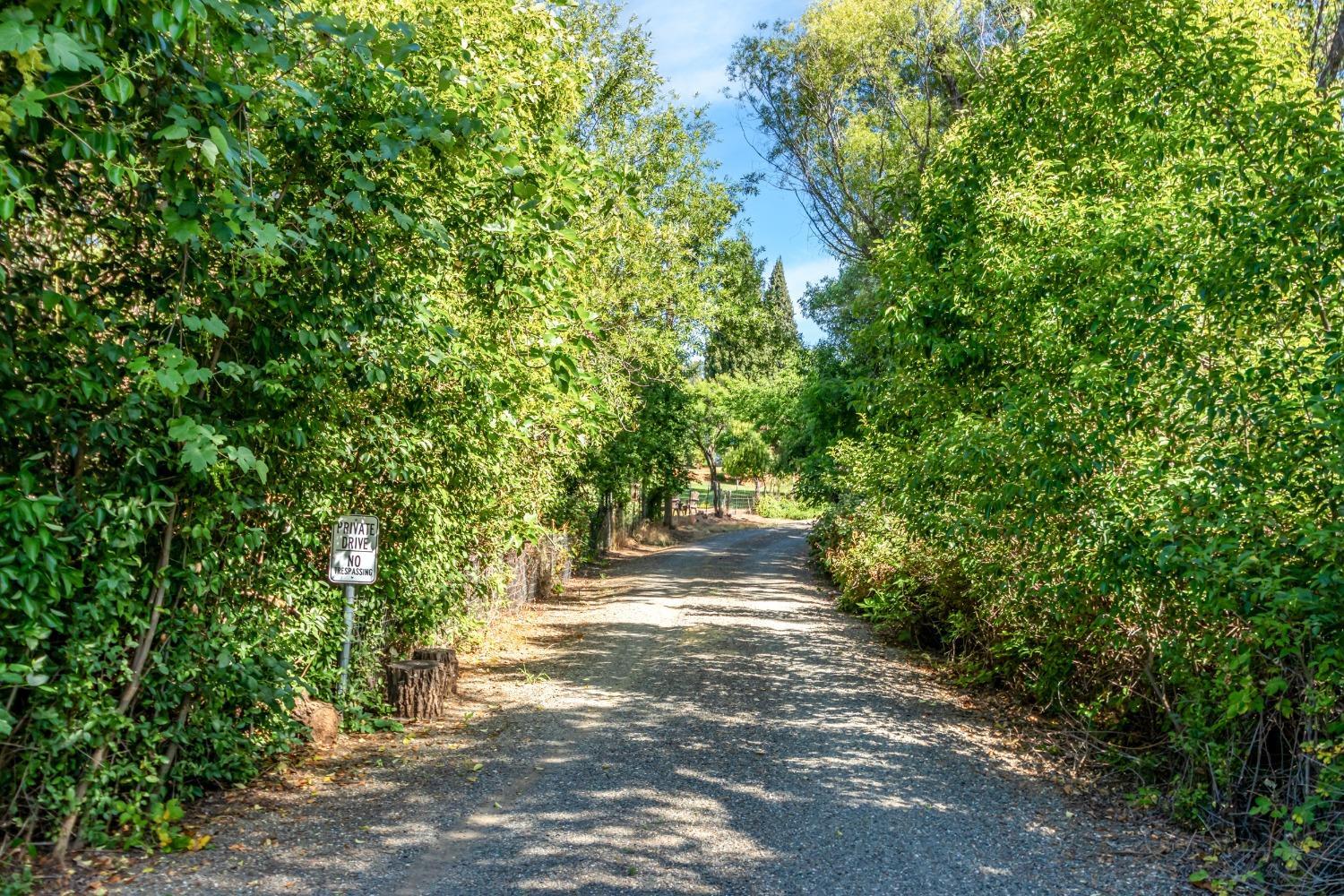 a view of a street with trees