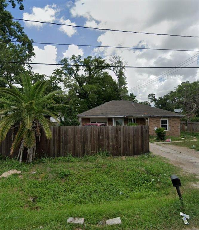 a view of backyard with potted plants and a large tree