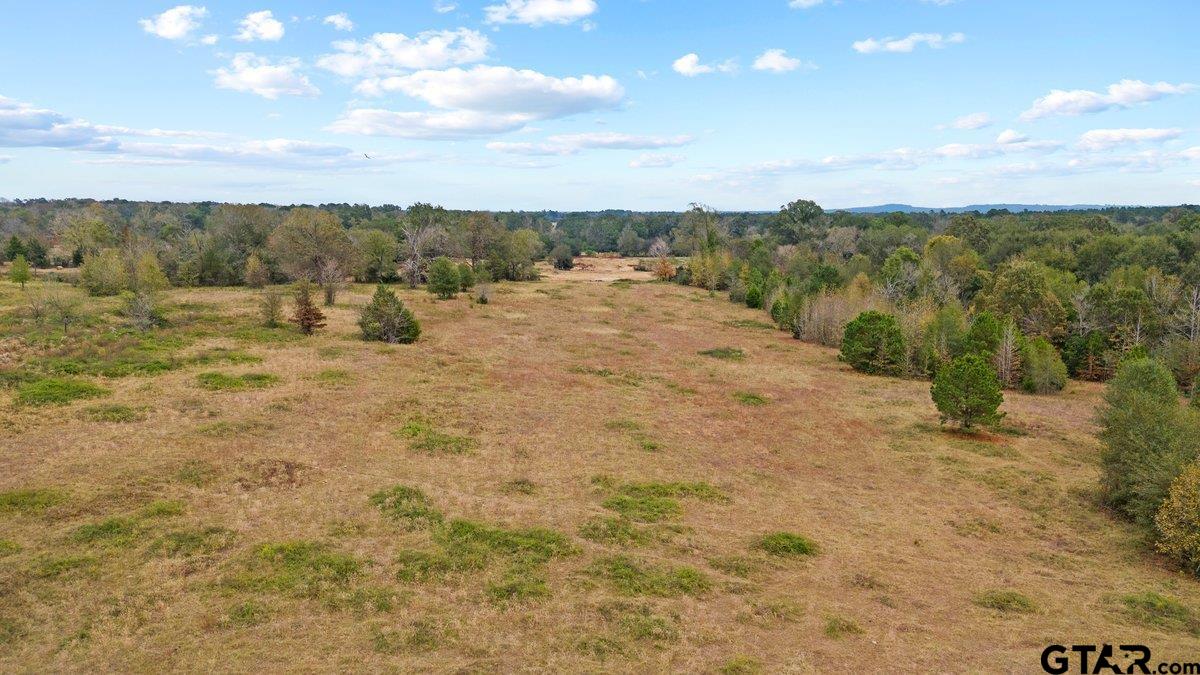 a view of a yard with an trees