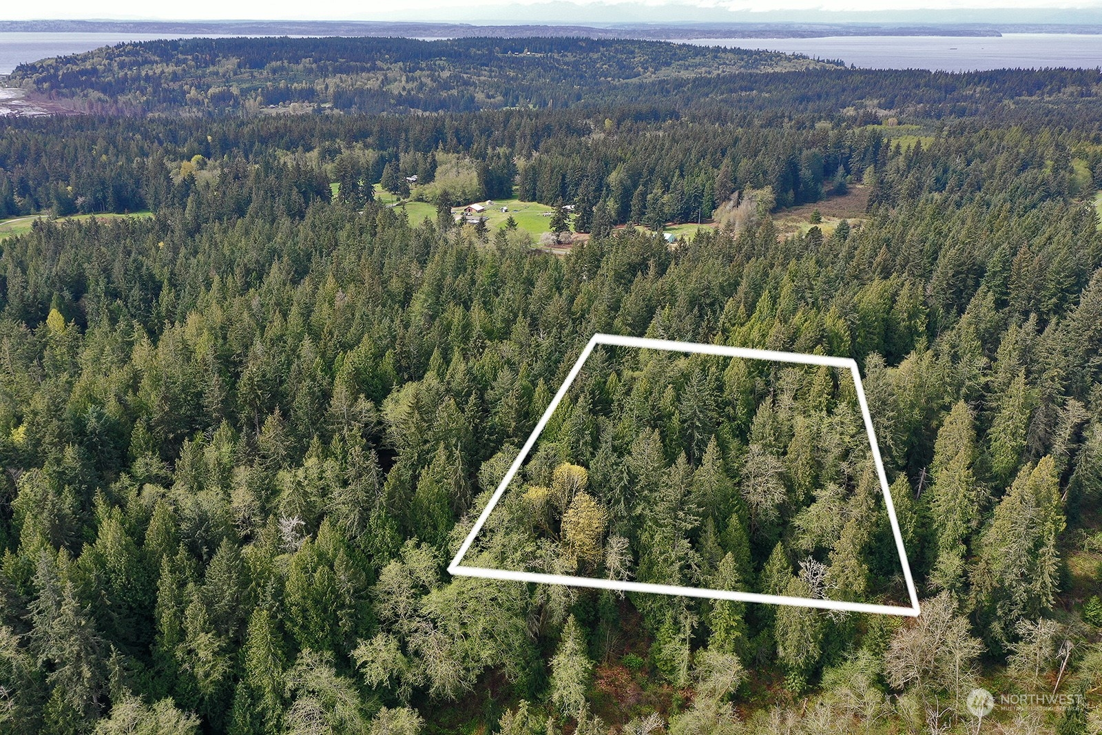 an aerial view of residential houses with outdoor space and trees