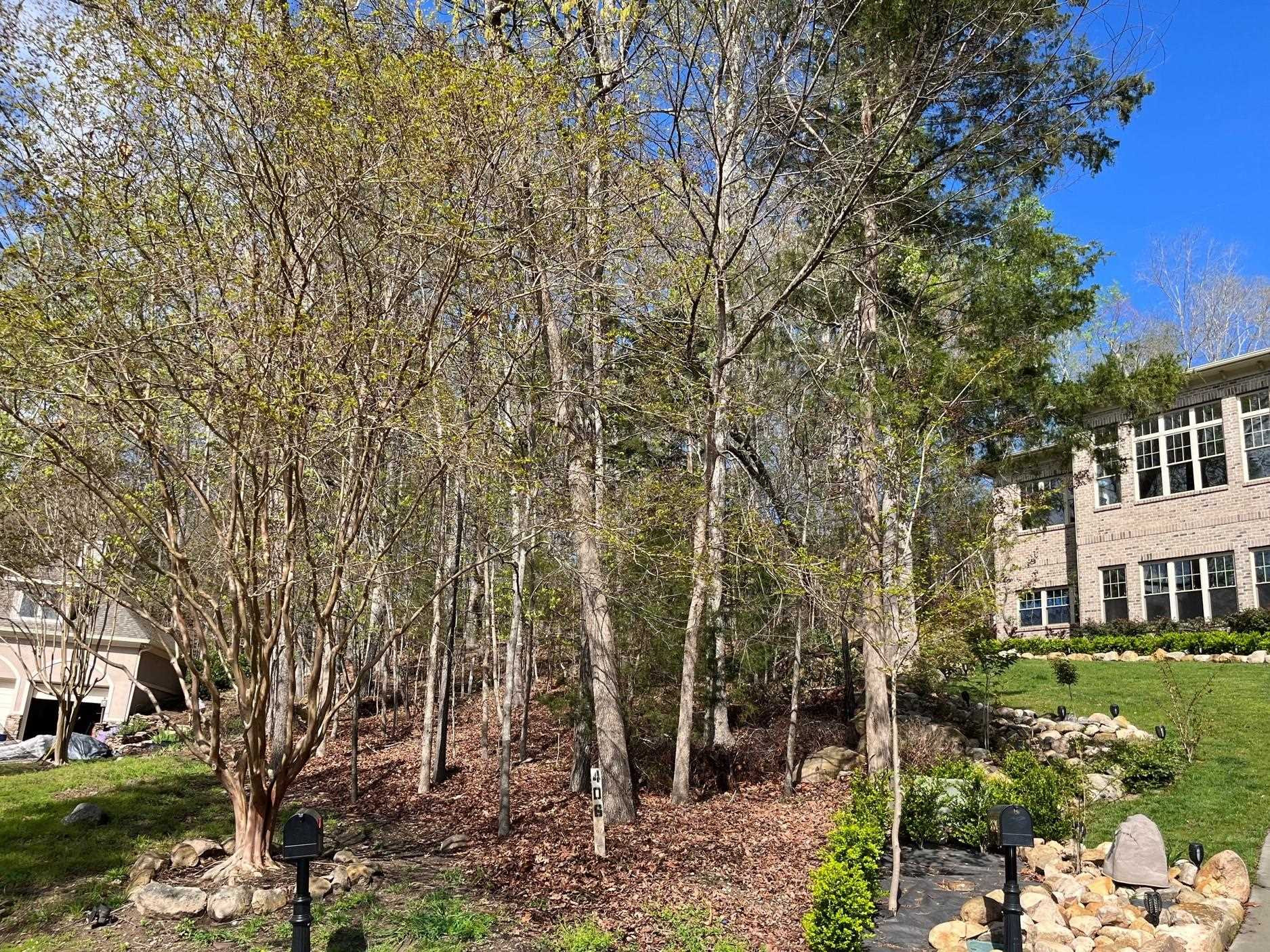 a view of yard in front of house with trees