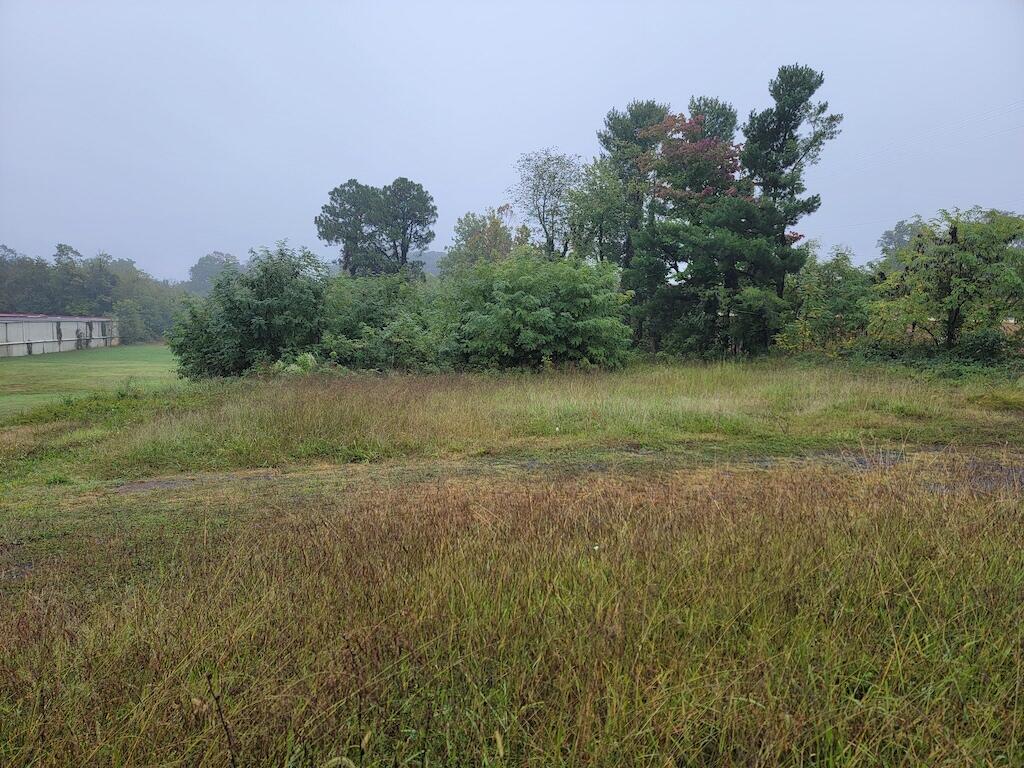 a view of a field with trees in background