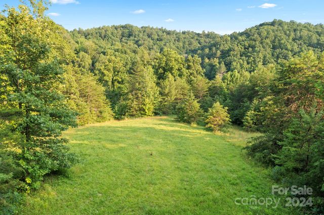 $1,138,800 | Tbd Zacks Fork Road | Lower Creek Township - Caldwell County