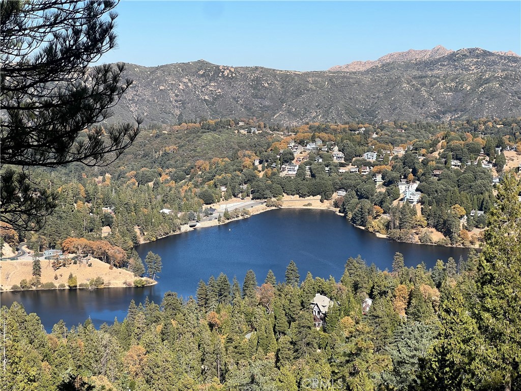 a view of a lake with a mountain