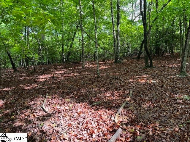 $199,000 | 0 Hunting Country Road | Columbus Township - Polk County