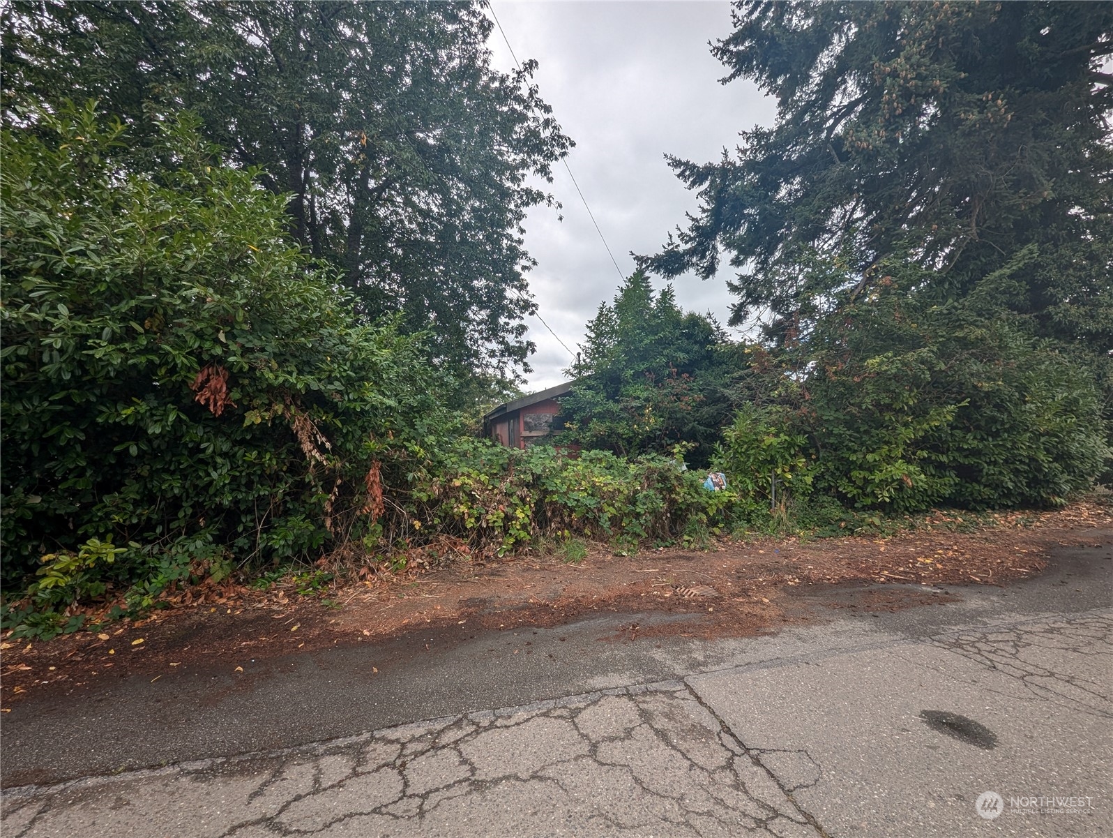 a view of a dirt road with trees in the background