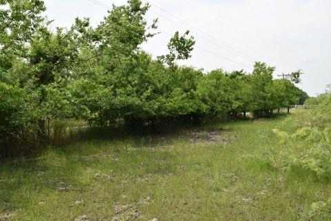 a view of a lake with a green space