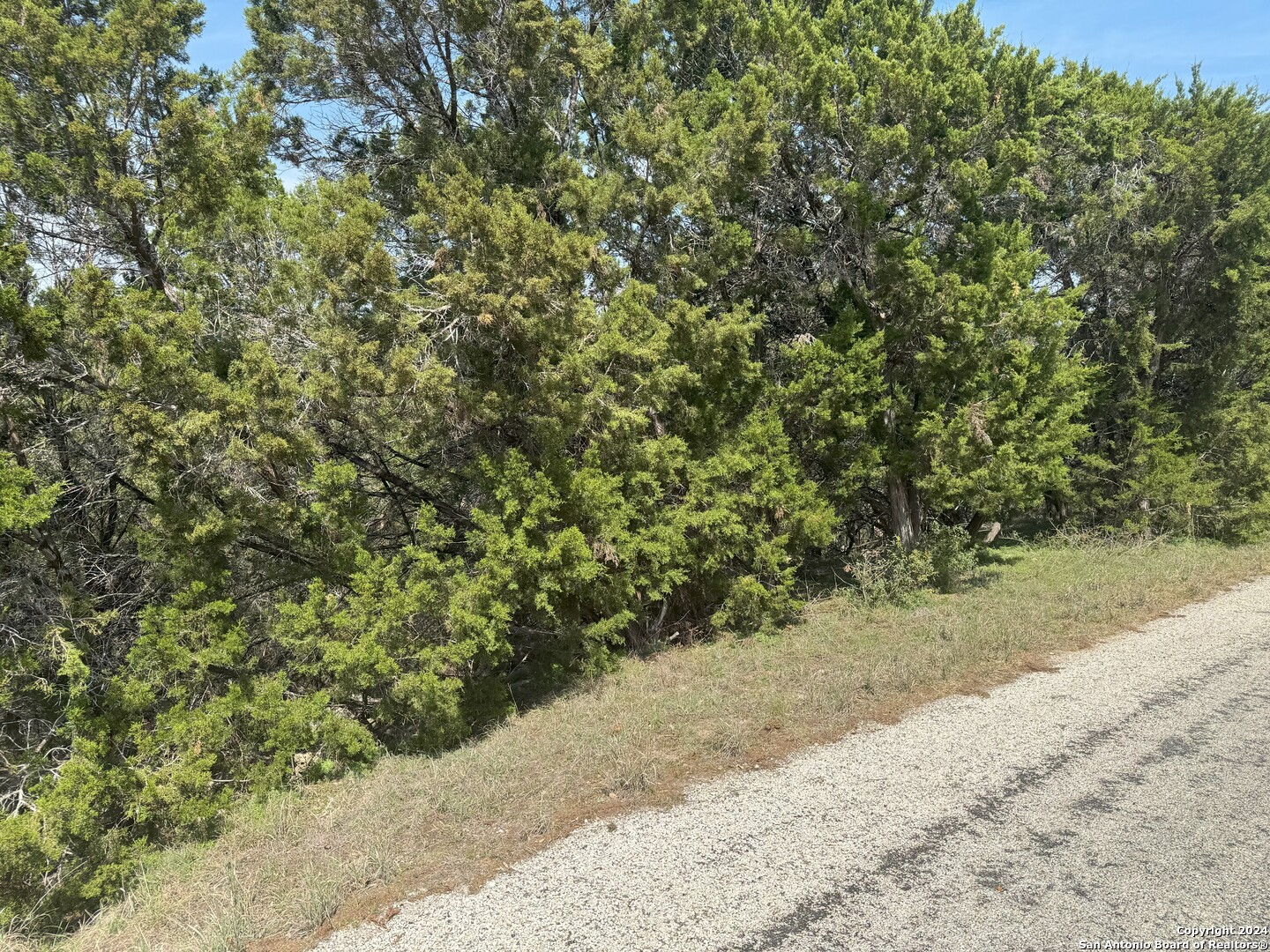 a view of a road with a yard