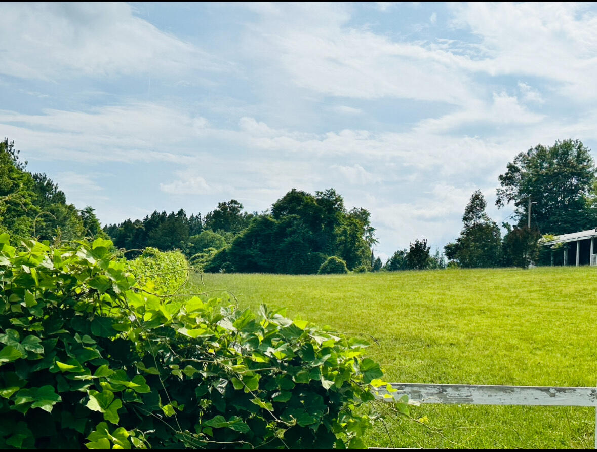 a view of a field with an outdoor space