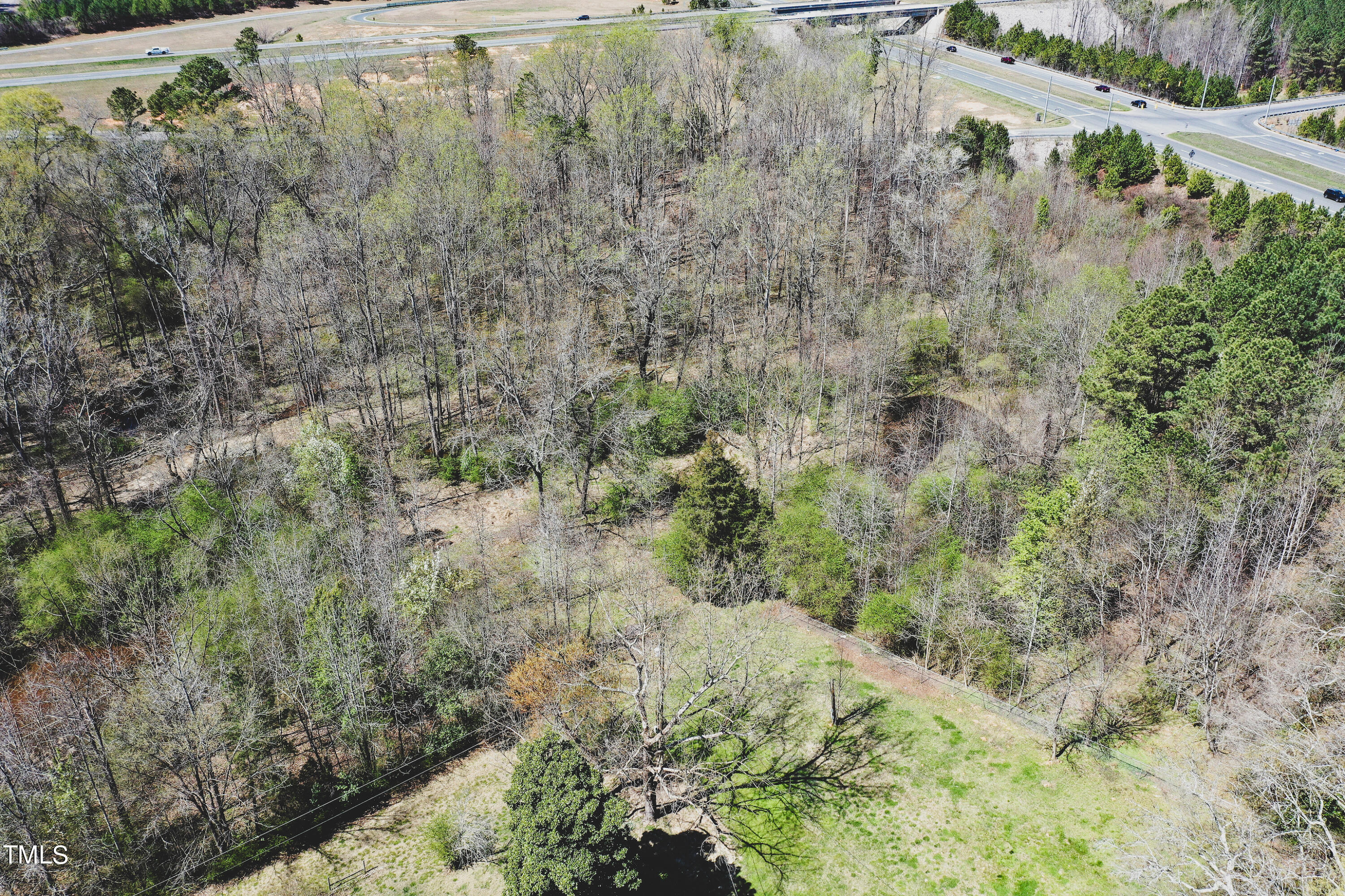 a view of a forest with a dry yard