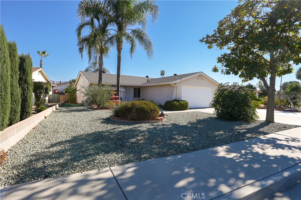 a view of a house with a yard and palm trees