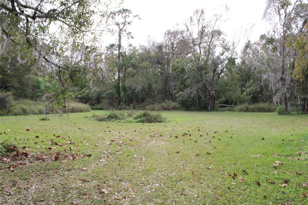 a view of a field with trees in the background