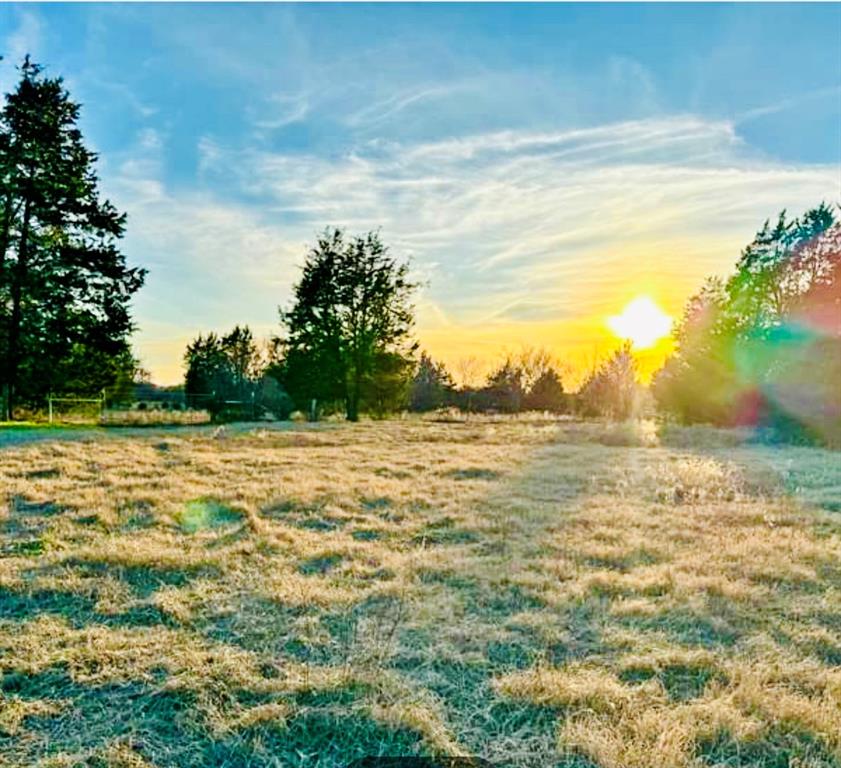 a view of an ocean and a yard