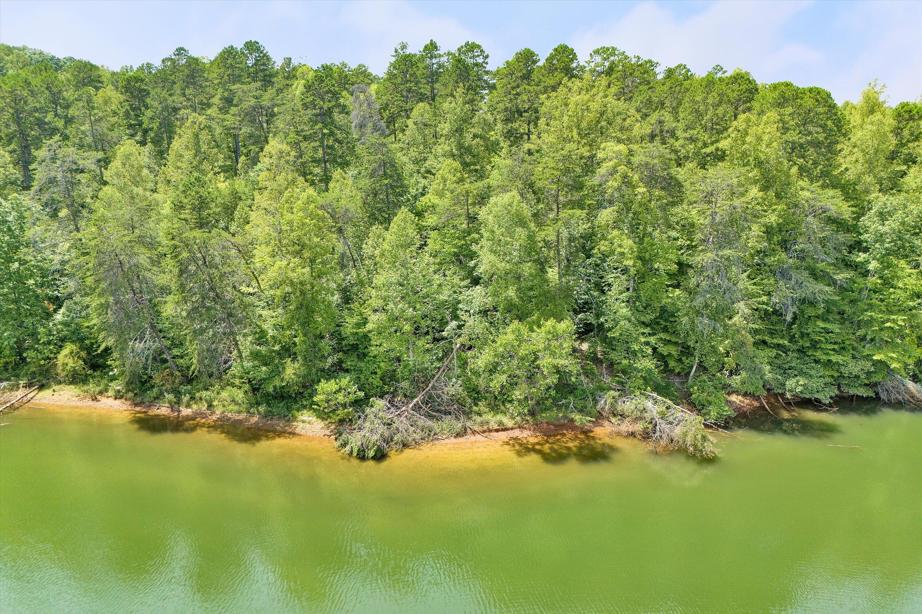 a view of a lake with a yard