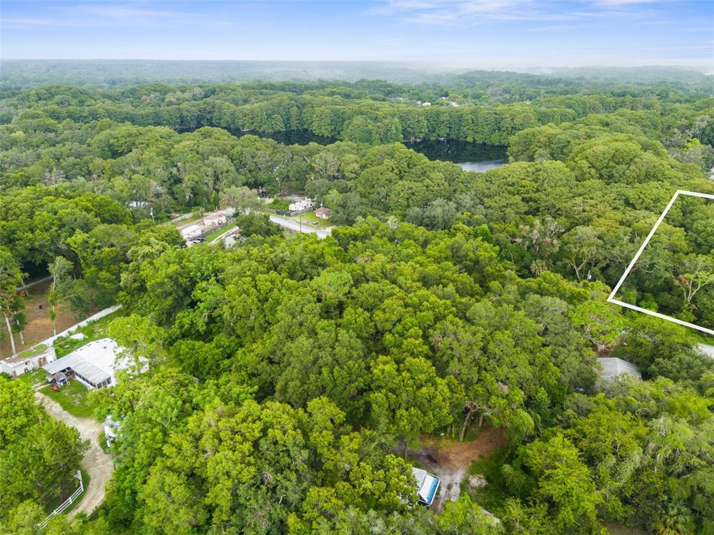 a view of a lush green forest with a houses