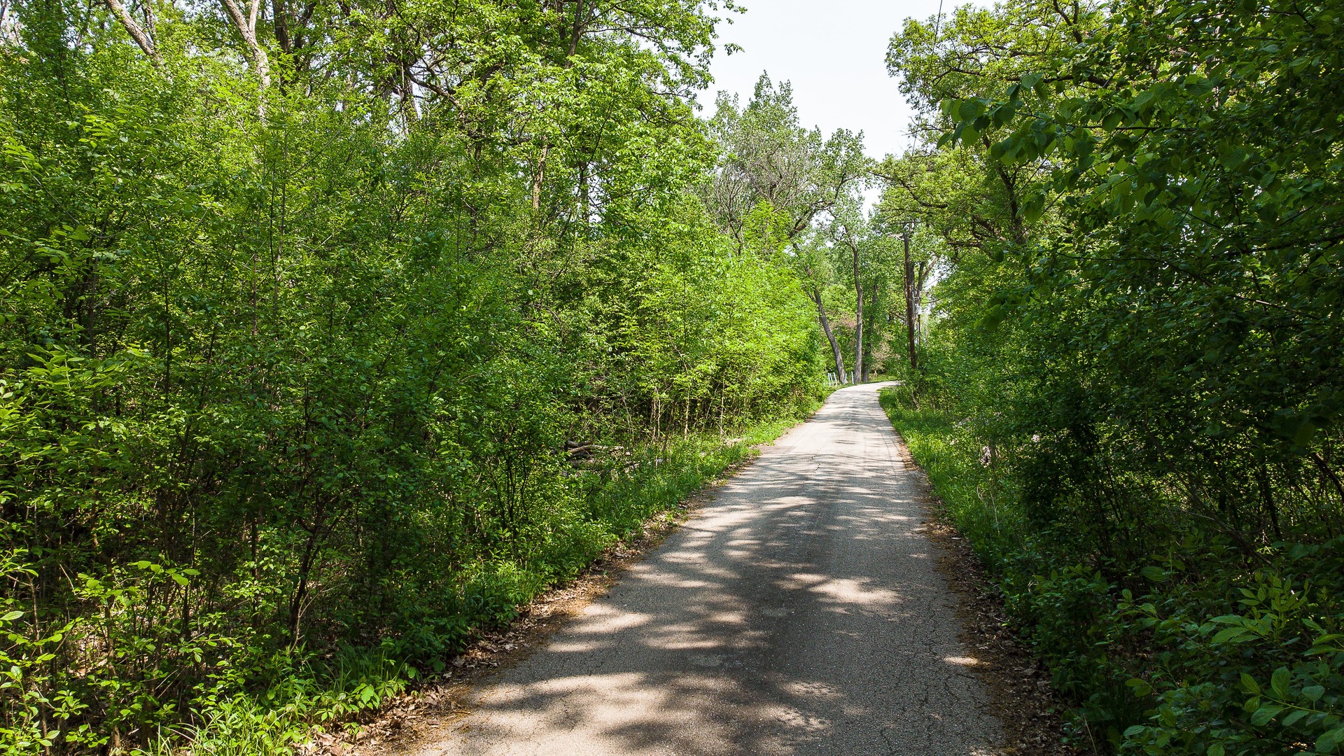 a view of a pathway both side of yard