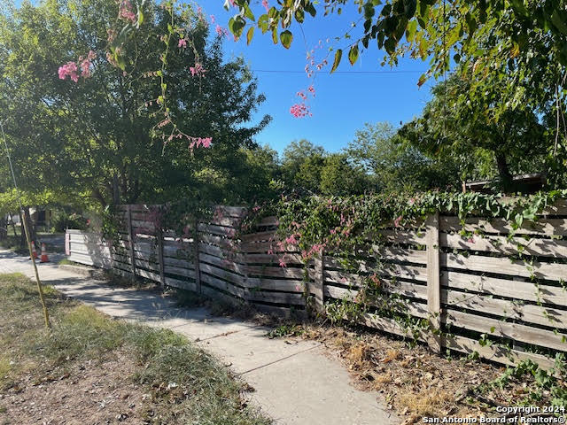 a view of a tree with a yard