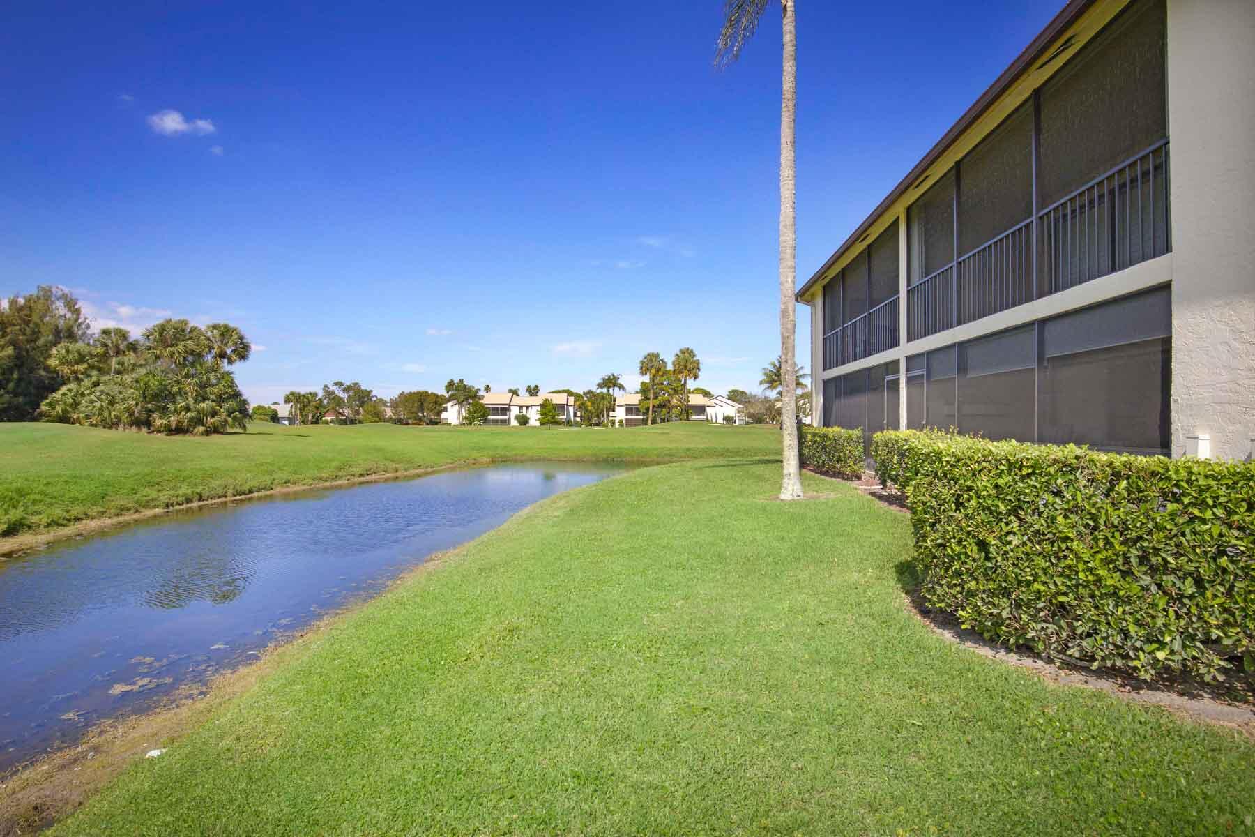 a view of a garden with an outdoor space