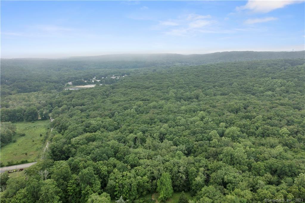 an aerial view of houses covered in trees