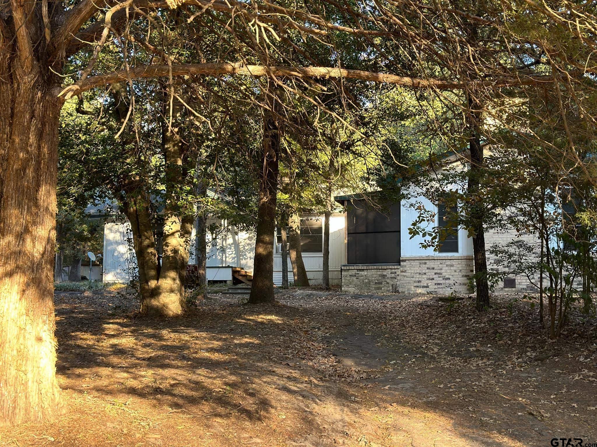 a view of a yard with a tree