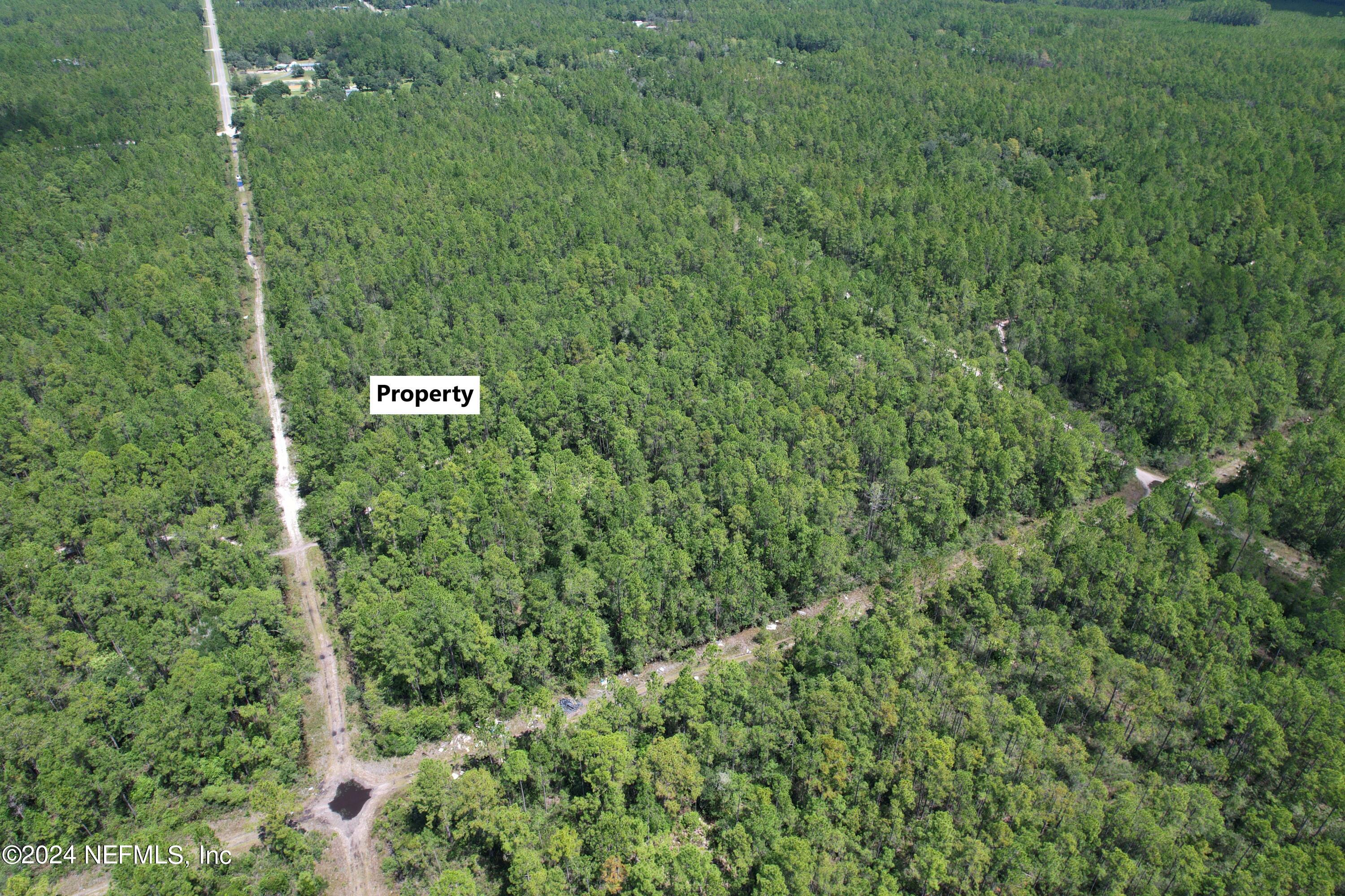 a view of a lush green forest with lots of trees