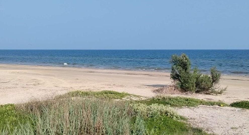 a view of beach and ocean