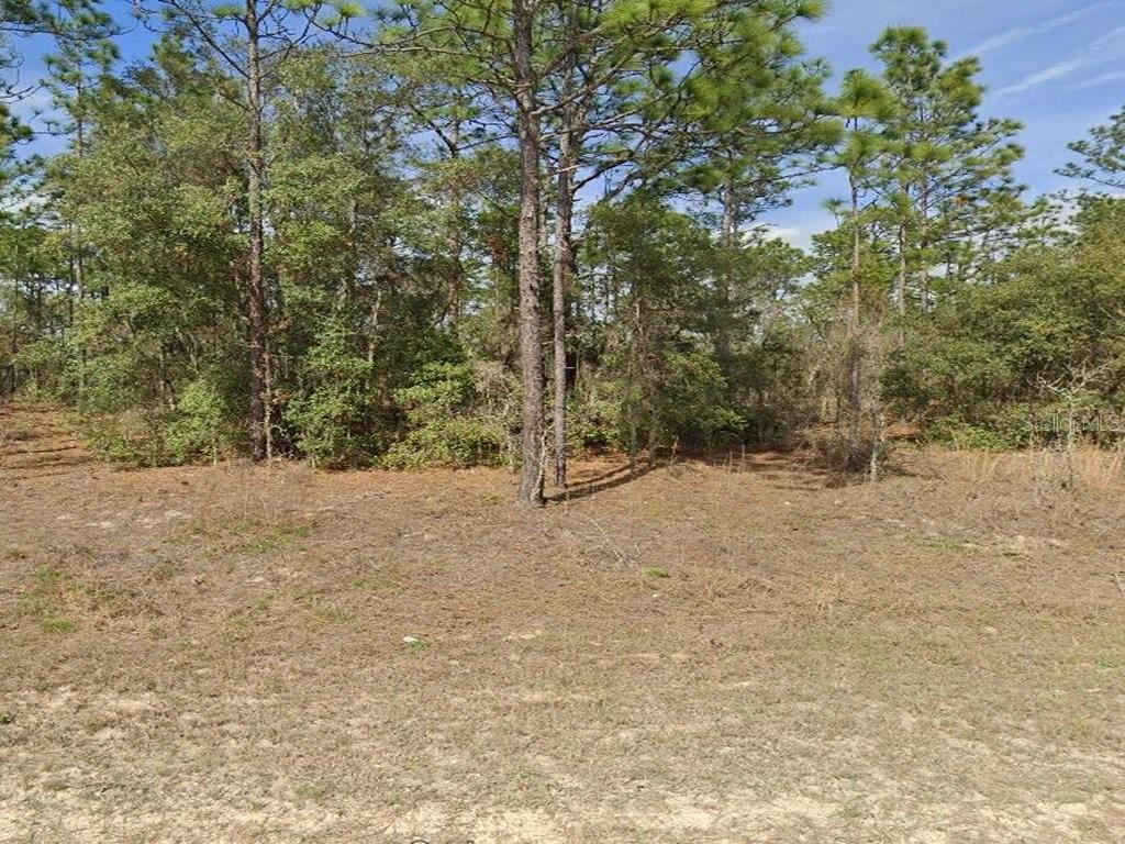 a view of a yard with a tree