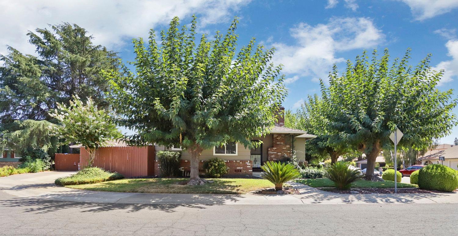 a front view of a house with garden and trees