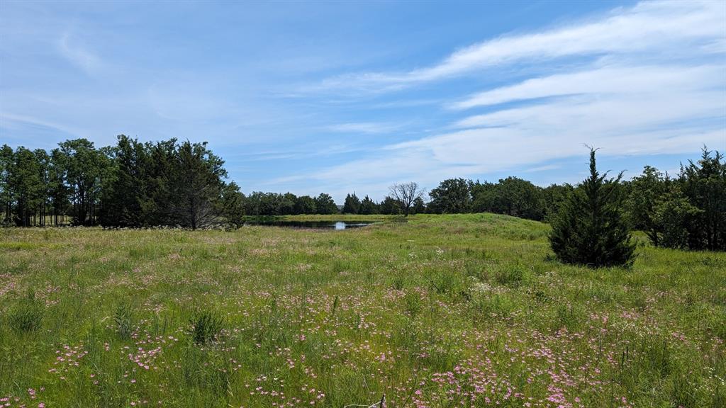 a view of a green field with clear sky