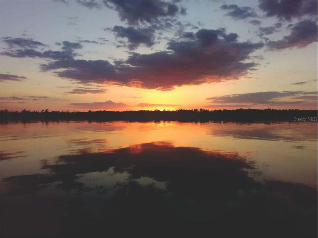 a view of a lake from a yard