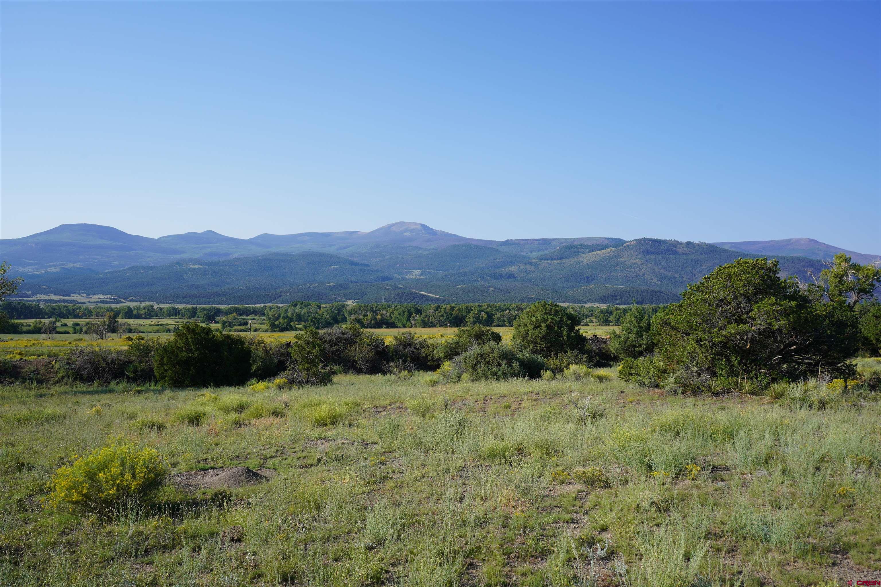 a view of a lush green field with mountains in the background