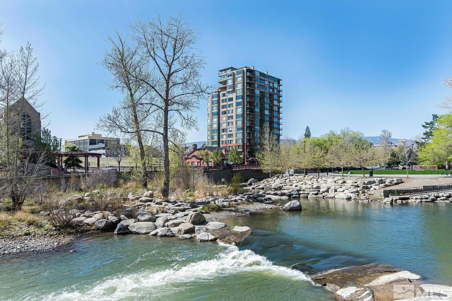 a view of river covered with tall trees