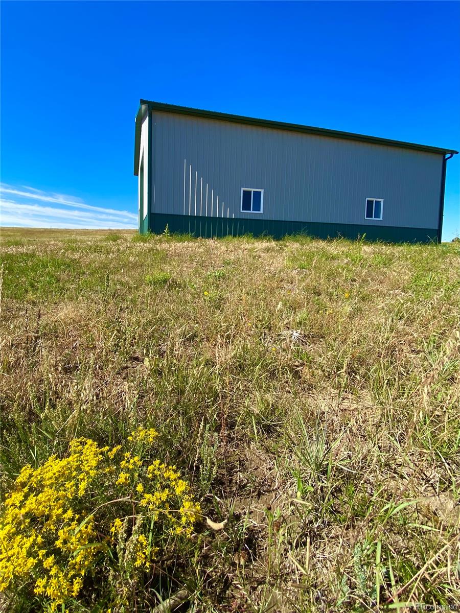 a view of a back yard