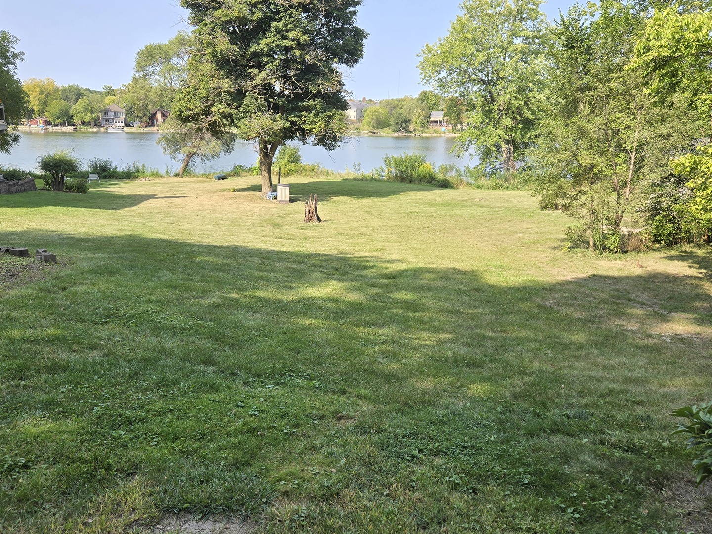 a view of an ocean yard and a large tree