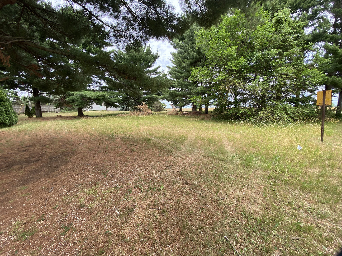 a view of a yard with a tree