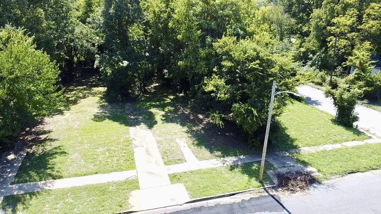 a view of yard from outdoor space