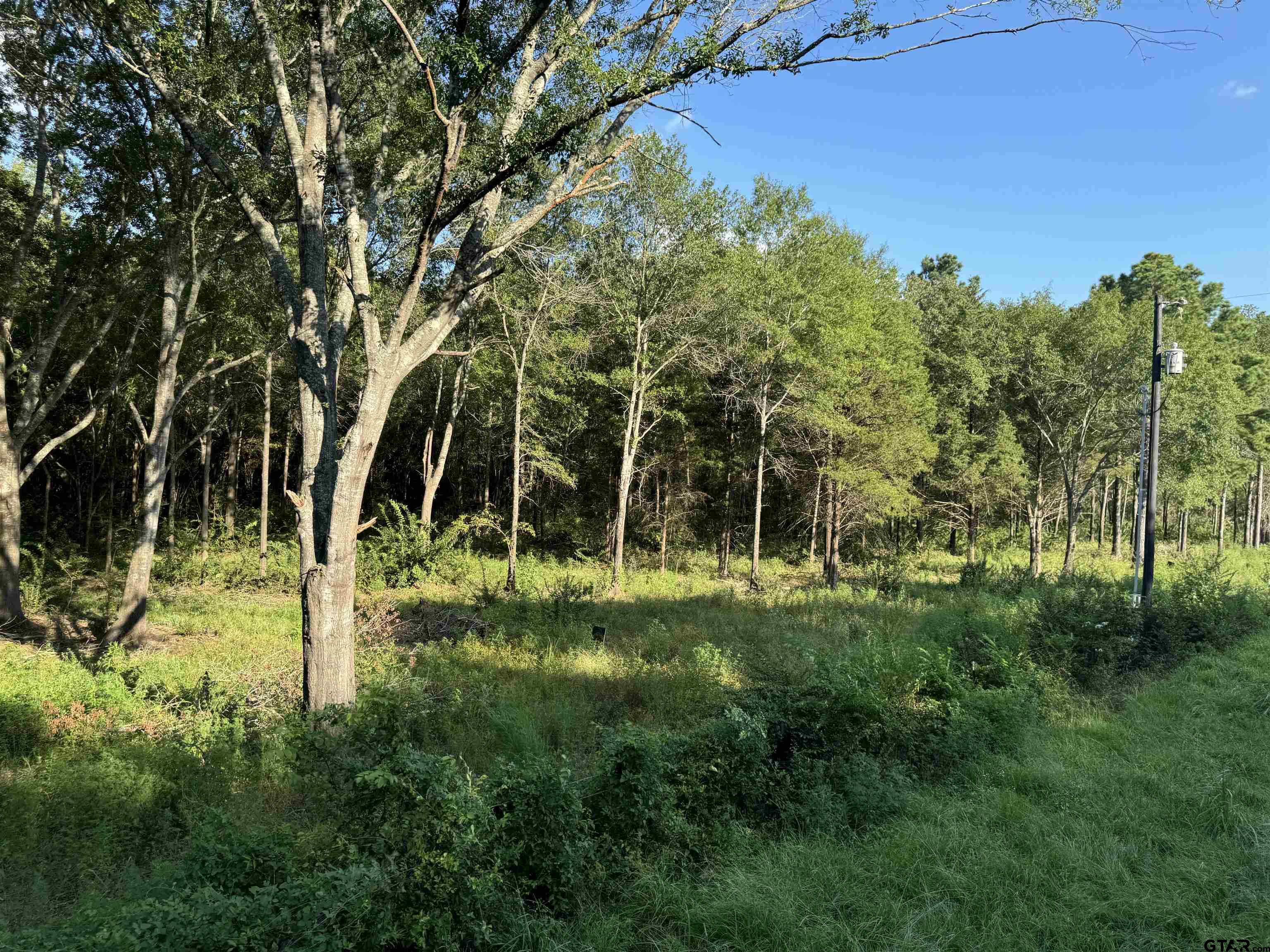 a view of backyard with green space