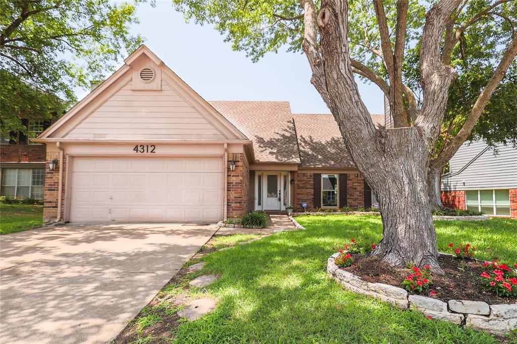 a view of a yard in front of a house with a large tree and plants