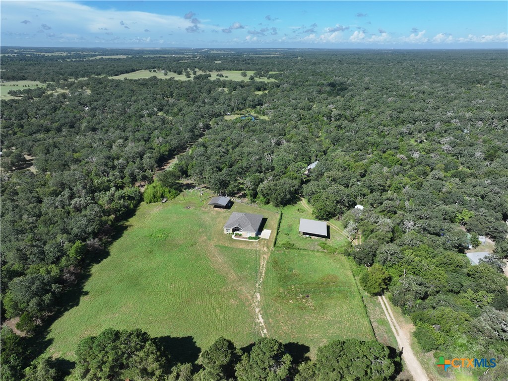 a view of a green yard with large trees