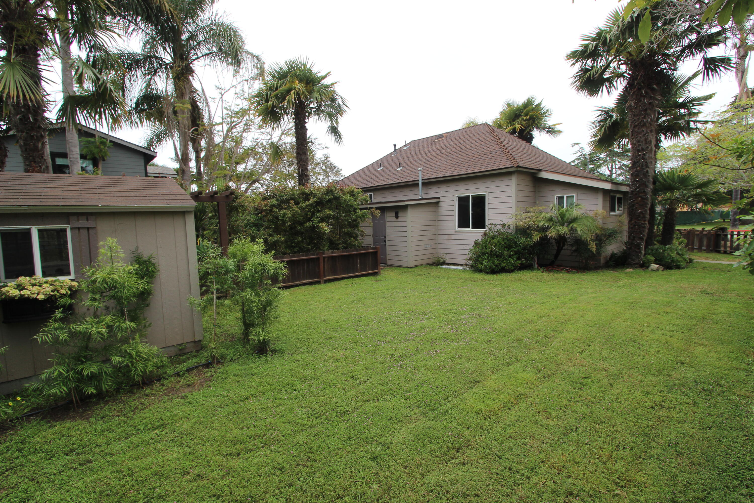 a view of a yard in front of a house with plants and large trees