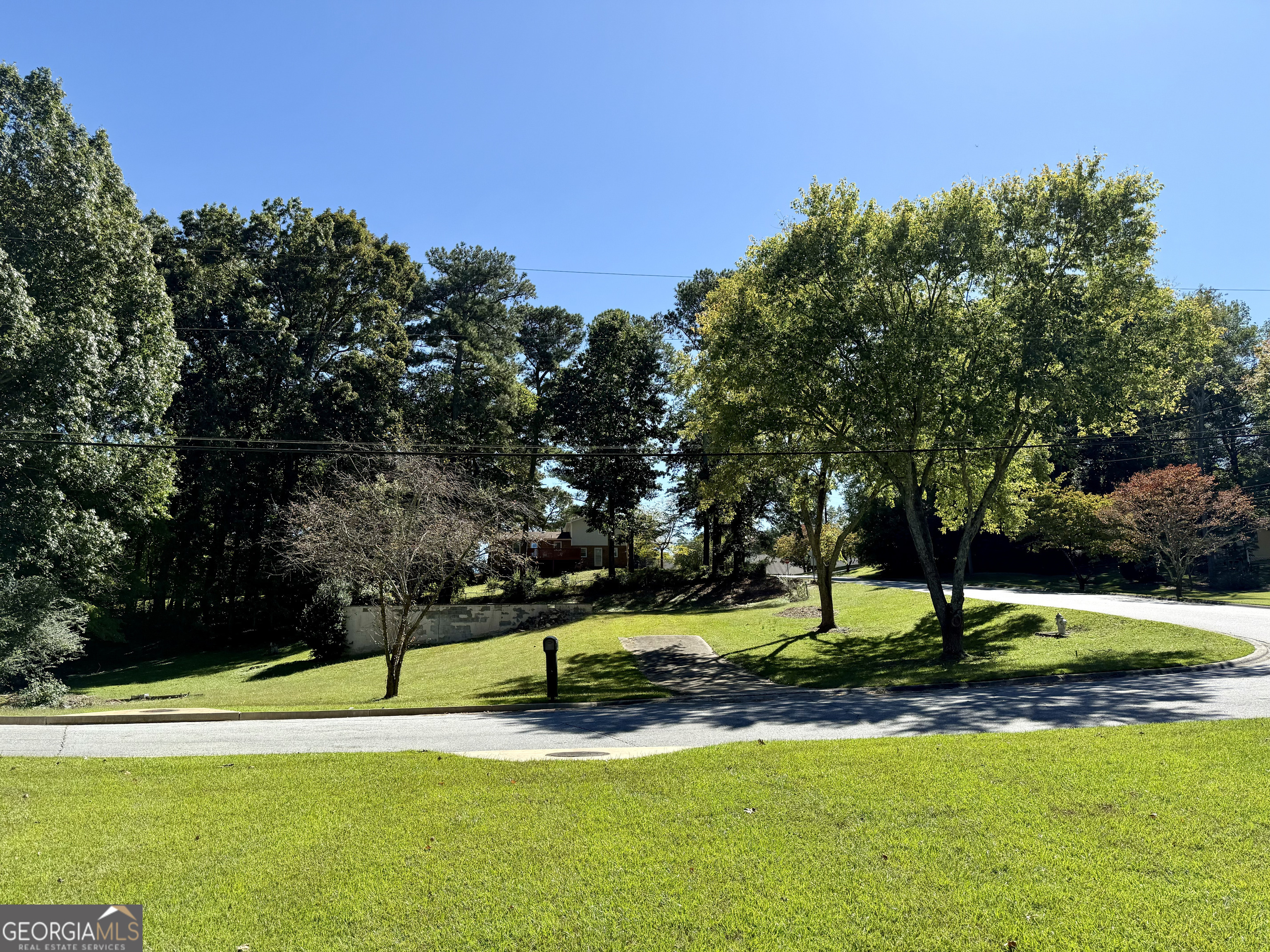 a view of a park with large trees